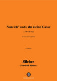 Silcher-Nun leb' wohl,du kleine Gasse(Nun leb'wohl,du kleine Gasse)