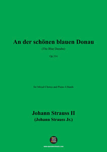 Johann Strauss II-An der schönen blauen Donau