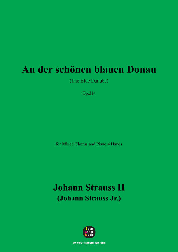 Johann Strauss II-An der schönen blauen Donau