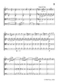 Johann Strauss II-An der schönen blauen Donau,for String Quartet