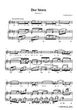 Richard Strauss-Der Stern