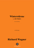 R. Wagner-Winterstürme