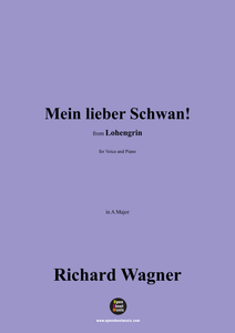 R. Wagner-Mein lieber Schwan!