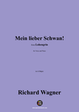 R. Wagner-Mein lieber Schwan!