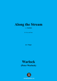 Warlock-Along the Stream