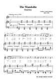Debussy-The Mandolin
