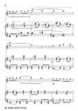 Debussy-The Mandolin,for Flute and Piano