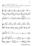 Debussy-The Mandolin,for Flute and Piano