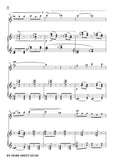 Debussy-The Mandolin,for Violin and Piano