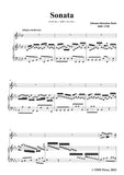 J. S. Bach-Sonata,H.545 No.1(BWV 1031 No.1),Allegro moderato,in E flat Major