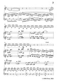 Beethoven-Violin Sonata No.10 in G Major,Op.96,for Violin and Piano