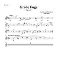 Beethoven-Große Fuge in B flat Major,Op.133,for String Quartet
