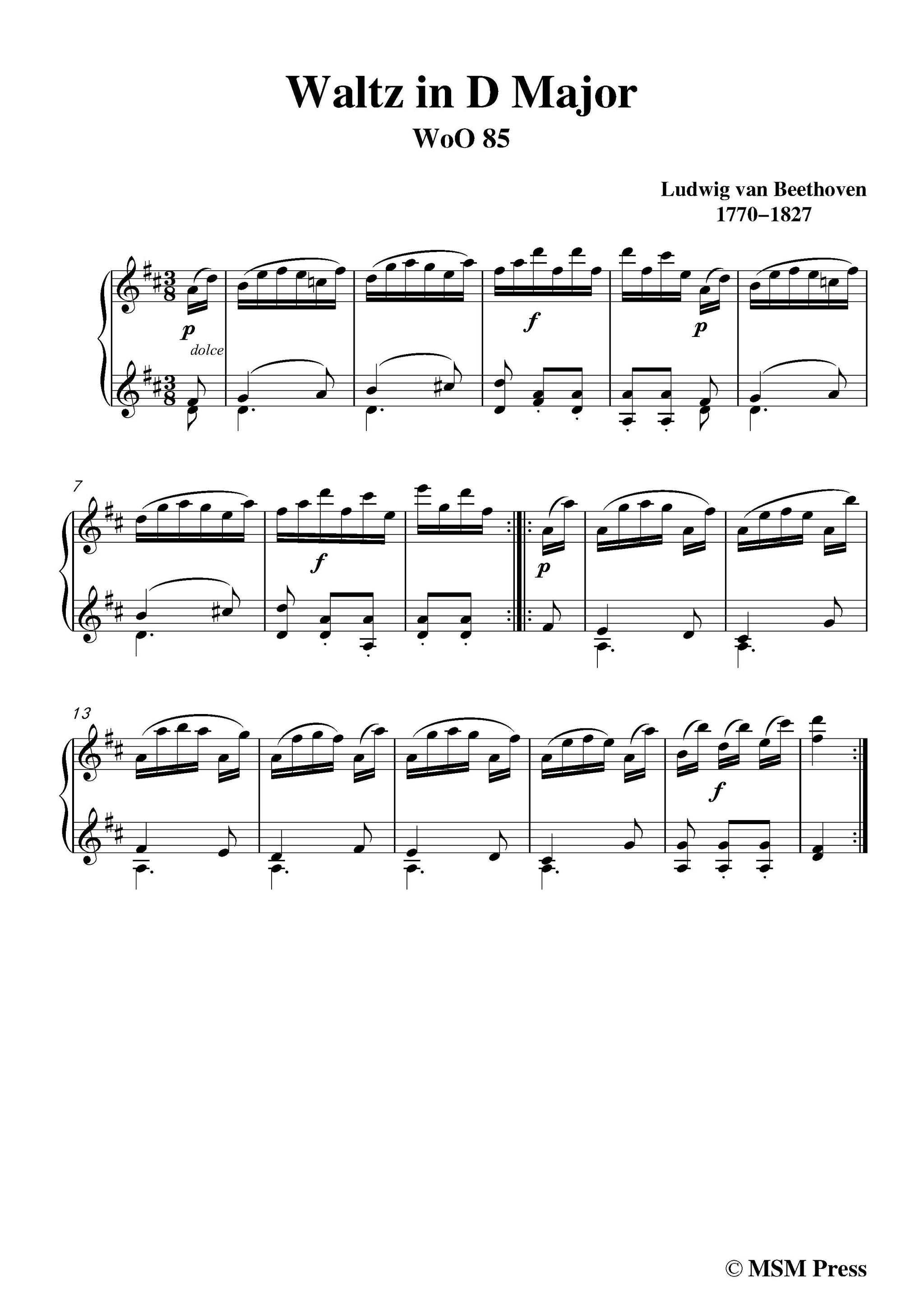 C01308W0045N01Beethoven-