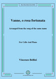 Bellini-Vanne,o rosa fortunata