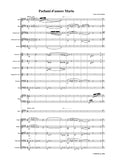 Bixio-Parlami Damore Mariu,in E Major,for Voice and Orchestra