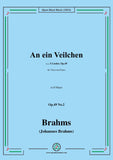 Brahms-An ein Veilchen,Op.49 No.2 in D Major