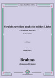 Brahms-Strahlt zuweilen auch ein mildes Licht,Op.57 No.6 in D Major