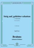 Brahms-Steig auf,geliebter schatten,Op.94 No.2