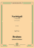 Brahms-Nachtigall,Op.97 No.1
