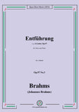 Brahms-Entfuhrung,Op.97 No.3