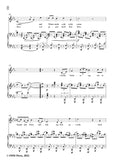 Brahms-Entfuhrung,Op.97 No.3