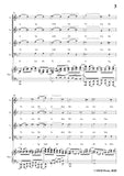 Brahms-Ein deutsches Requiem(A German Requiem),Op.45 No.7
