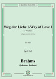 Brahms-Weg der Liebe I-Way of Love I,Op.20 No.1
