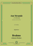 Brahms-Am Strande-On the Beach,Op.66 No.3,in E flat Major