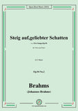 Brahms-Steig auf,geliebter Schatten,Op.94 No.2