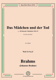 Brahms-Das Madchen und der Tod,WoO 32 No.23