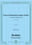 Brahms-Guten Abend,mein tausiger Schatz,WoO 33 No.4