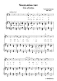 Carissimi-No,no,mio core