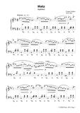 Chopin-Waltz,in b minor,Op.69 No.2,for Piano
