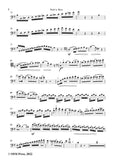 Cimador-Double Bass Concerto,in G Major