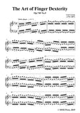 Czerny-The Art of Finger Dexterity,Op.740 No.5,for Piano