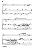 Duparc-Testament,for Flute and Piano