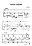Dvořák-Struna naladěna,in d minor,Op.55 No.5