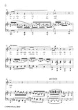 Dvořák-Nereidy,balada,in d minor,Op.50 No.2