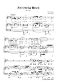 Franz-Zwei welke Rosen,in A Major,Op.13 No.1