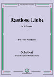 Schubert-Rastlose Liebe