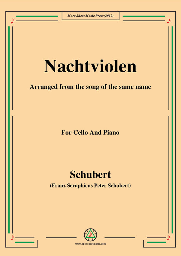 Schubert-Nachtviolen