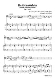 Schubert-Heidenröslein