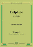 Schubert-Delphine