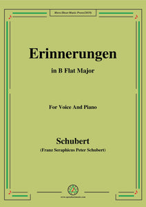 Schubert-Erinnerungen