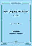 Schubert-Der Jüngling am Bache,D.192