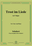 Schubert-Trost im Liede