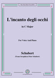Schubert-L'incanto degli occhi
