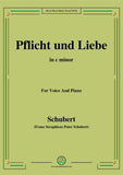 Schubert-Pflicht und Liebe