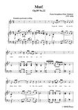 Schubert-Mut!,from 'Winterreise',Op.89(D.911) No.22