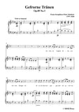 Schubert-Gefrorne Tränen,from 'Winterreise',Op.89(D.911) No.3